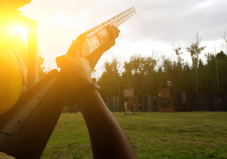 3 november 50 duiven Parcours wedstrijd